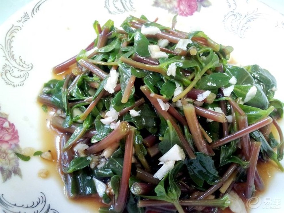 【食尚玩家第五季】凉拌马齿苋(妈妈菜)