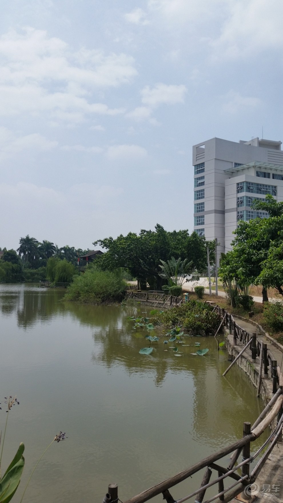 广州水乡之东涌绿色长廊