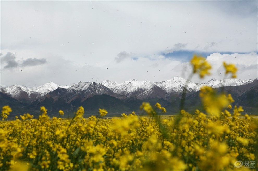 青海门源浩门农场