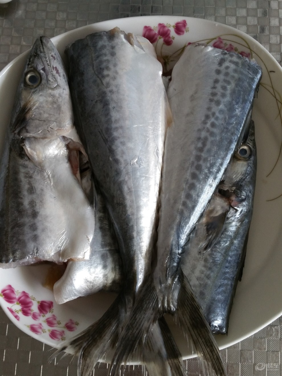 【食尚玩家第六季】燕鱼炖粉条