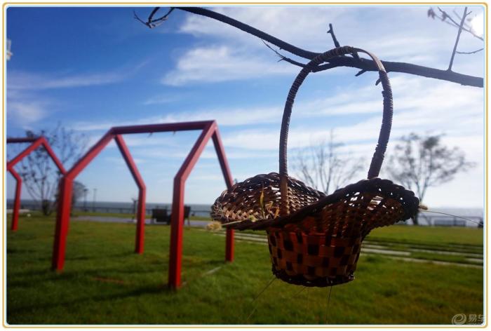 这个破篮子哈,挂在树梢上