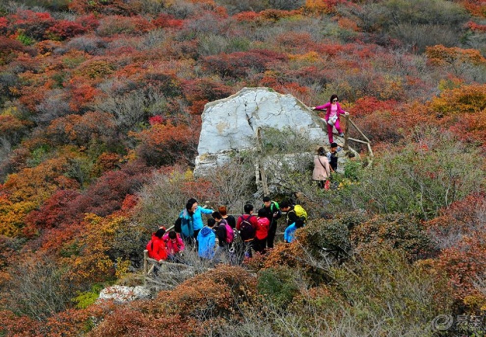 房山坡峰嶺賞紅葉美景