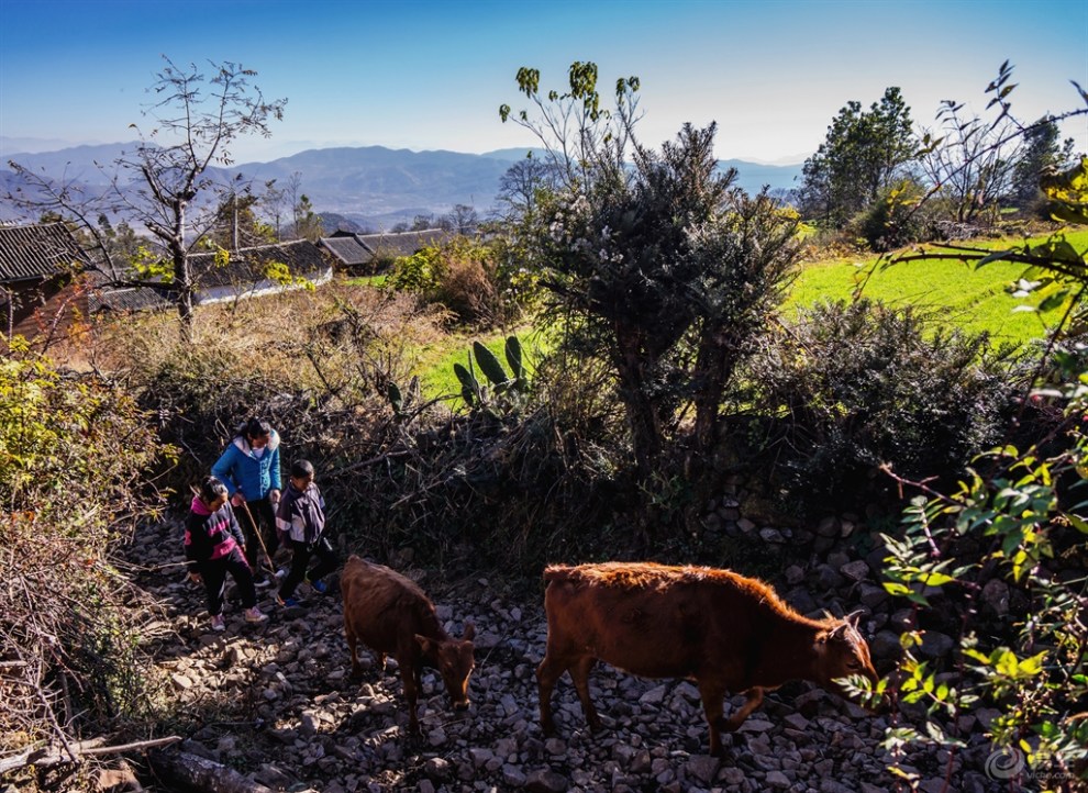 【响水河村印象记】二