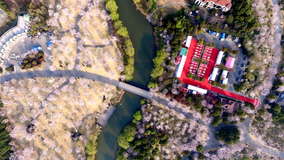 【航拍】清晨的顾村公园