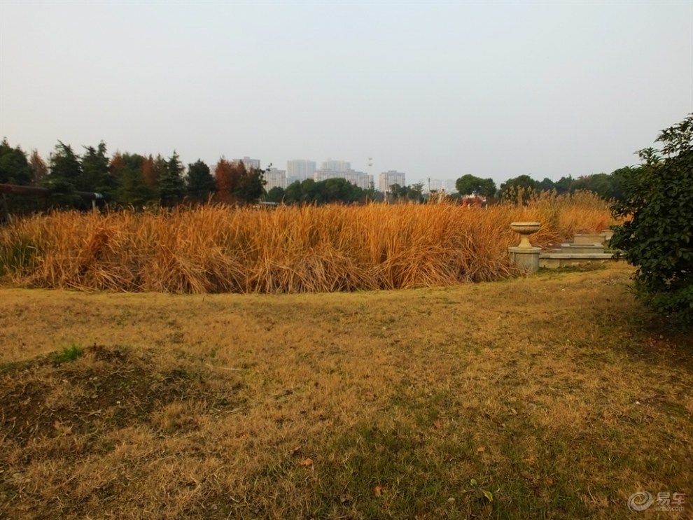 【申精】夕阳相伴,漫步胡家渡