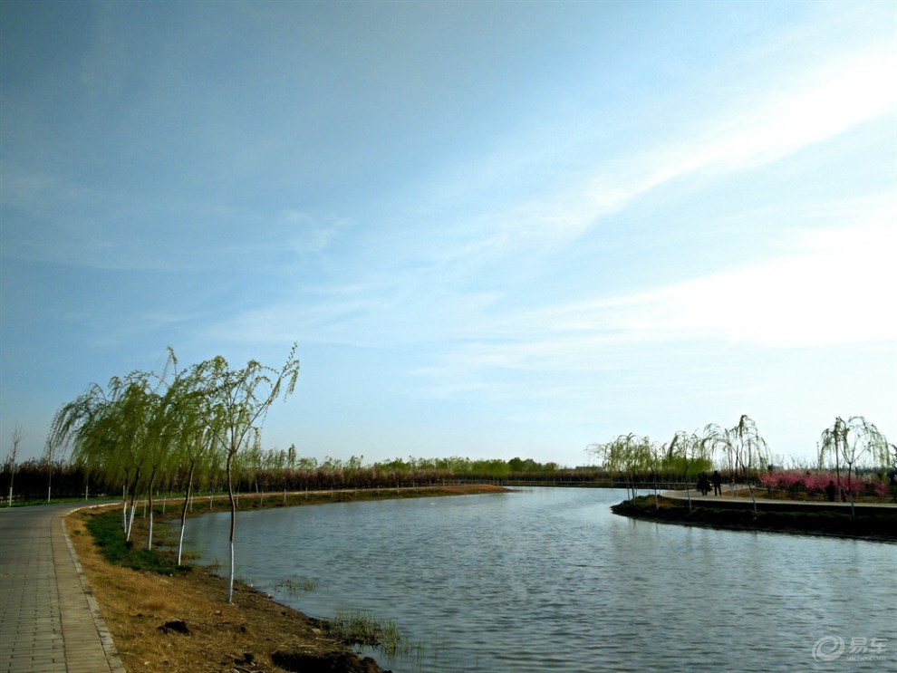 【【随拍】沙河春色】_河南社区图片集锦_汽车论坛-易车网