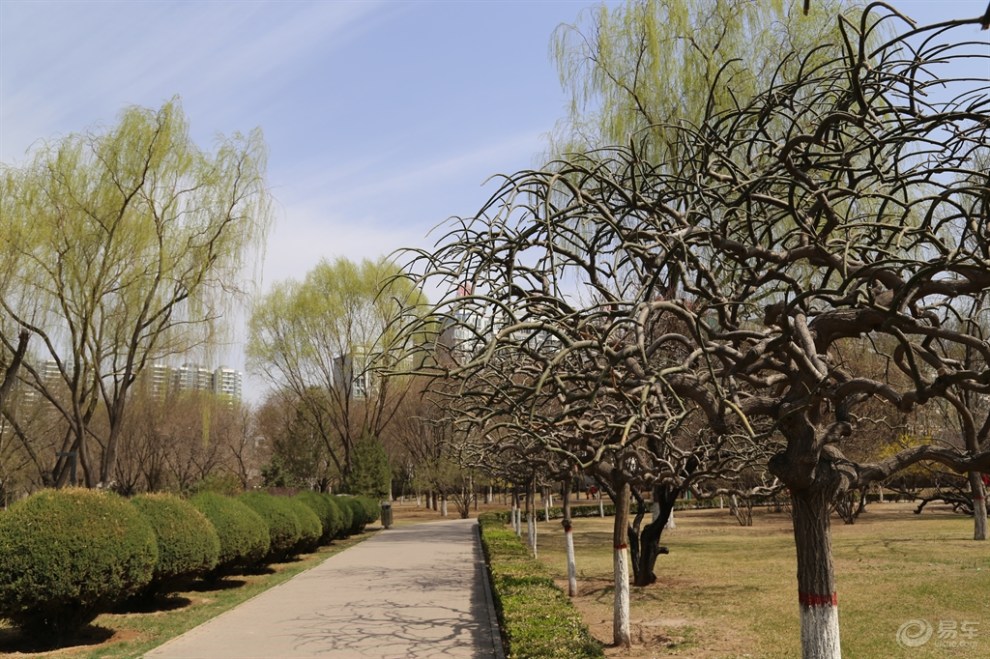 【原創首發】榆次玉湖公園遊記