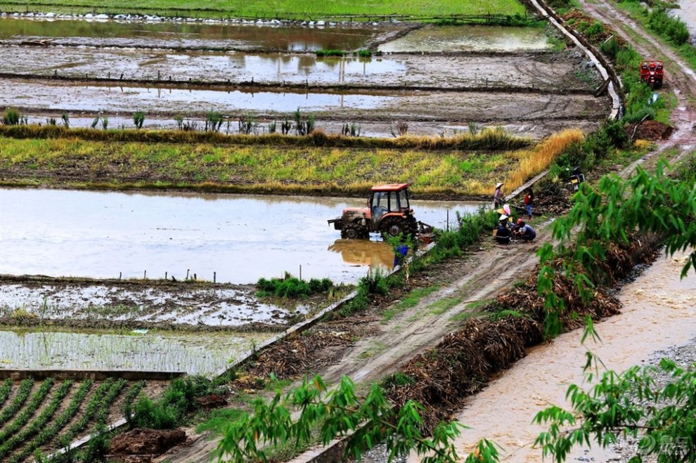 老疯人-----随拍