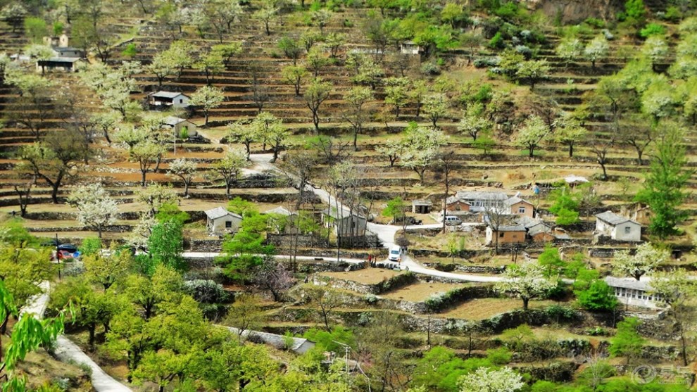 28】美麗的小山村大灘村