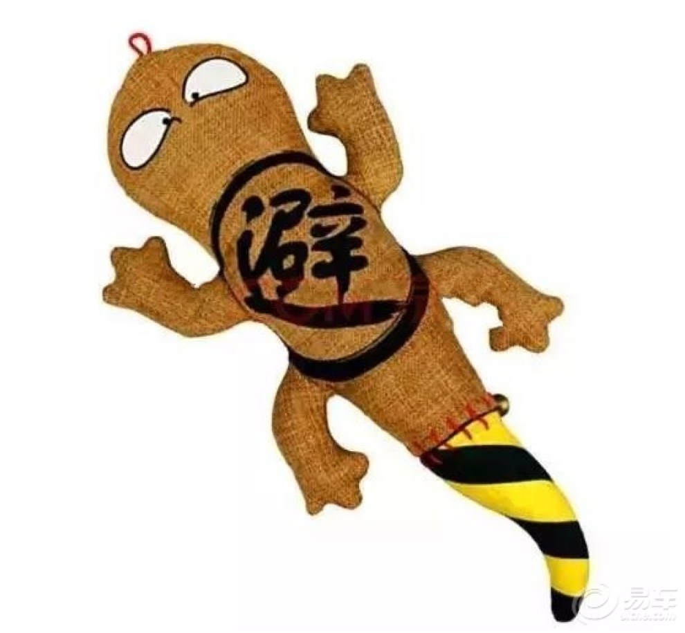 涨姿势|车屁股上贴"壁虎"啥意思?