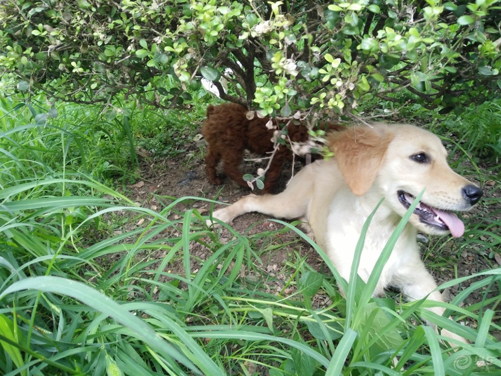 一对活宝的乐趣