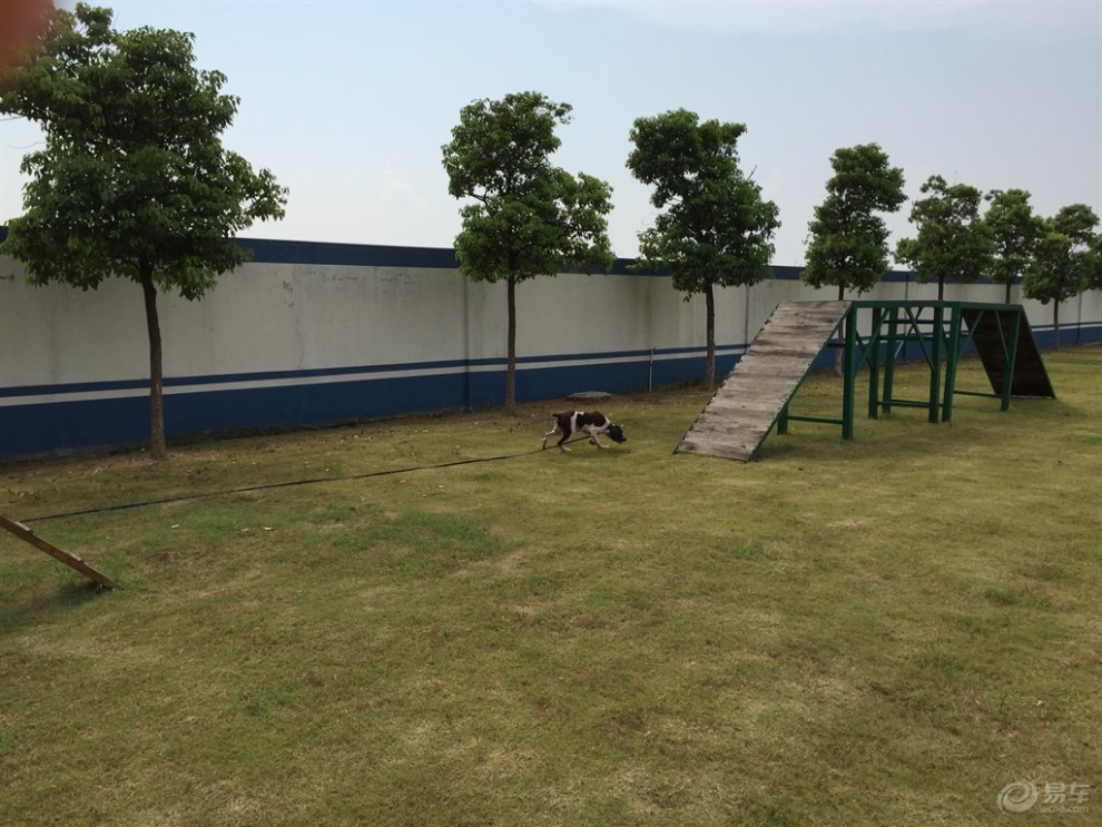 暑假社会实践活动----参观警犬训练基地