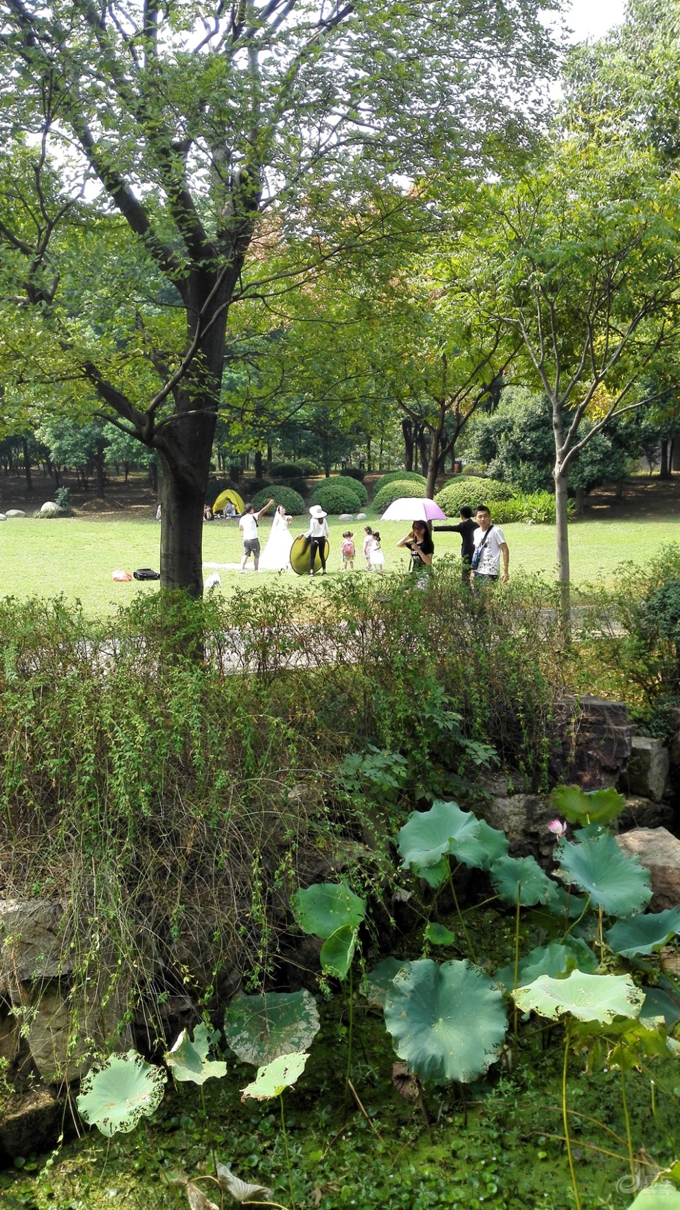 【精华大比拼】绿道上的小碧池