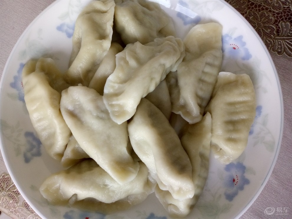 【消暑开胃美食】包丝瓜馅水饺