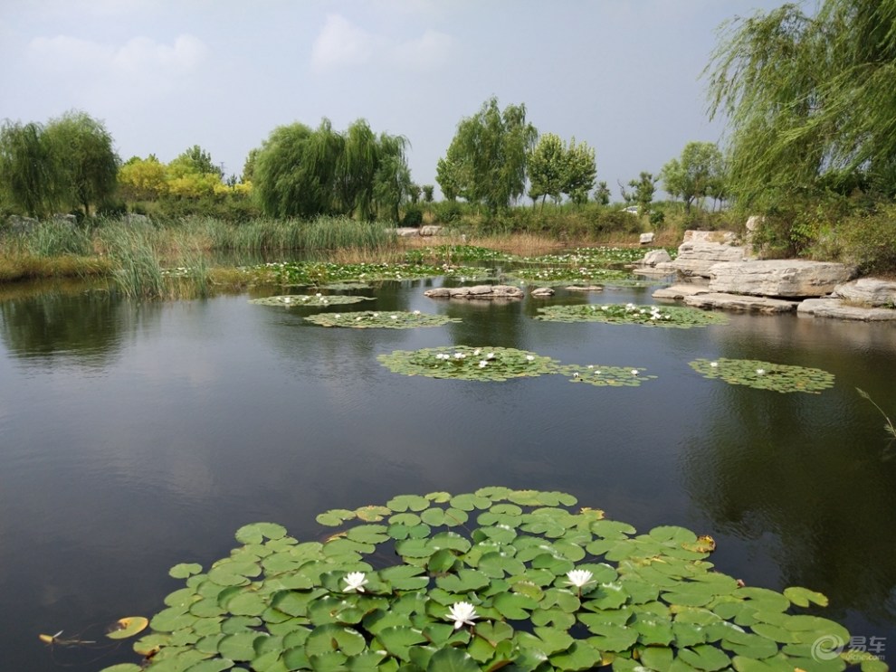 【原创首发】北辛植物园