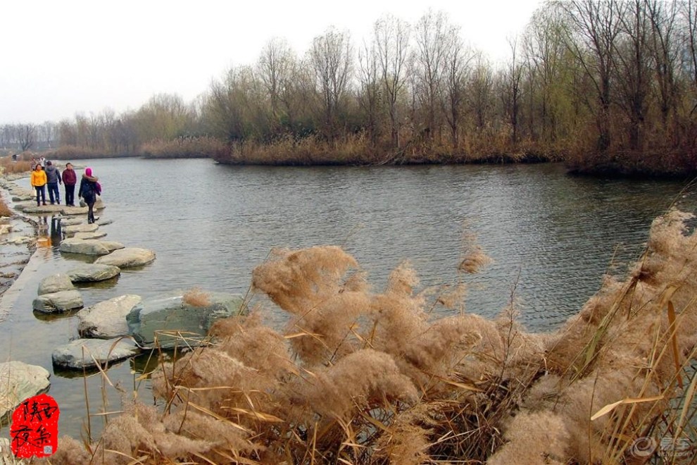 【冬日美景】寂寞的浐河湿地公园