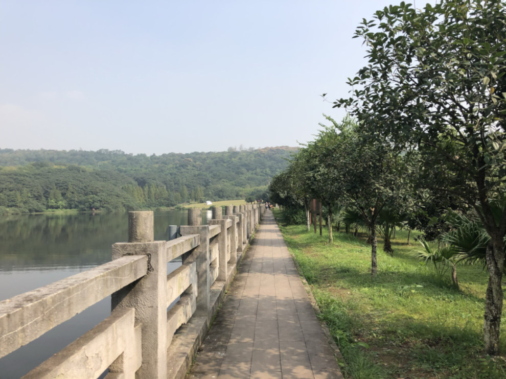 【九月九重陽節登高:照母山森林公園一日遊】_自駕遊社區圖片集錦_汽