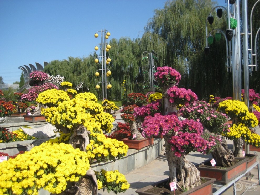 北京世界花卉大觀園