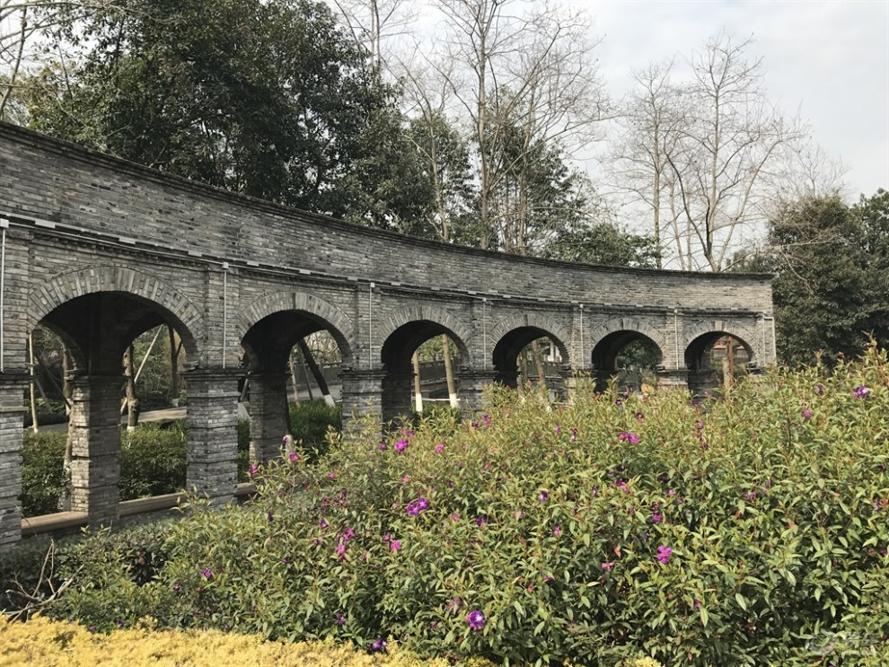 周六游温州三垟湿地公园!