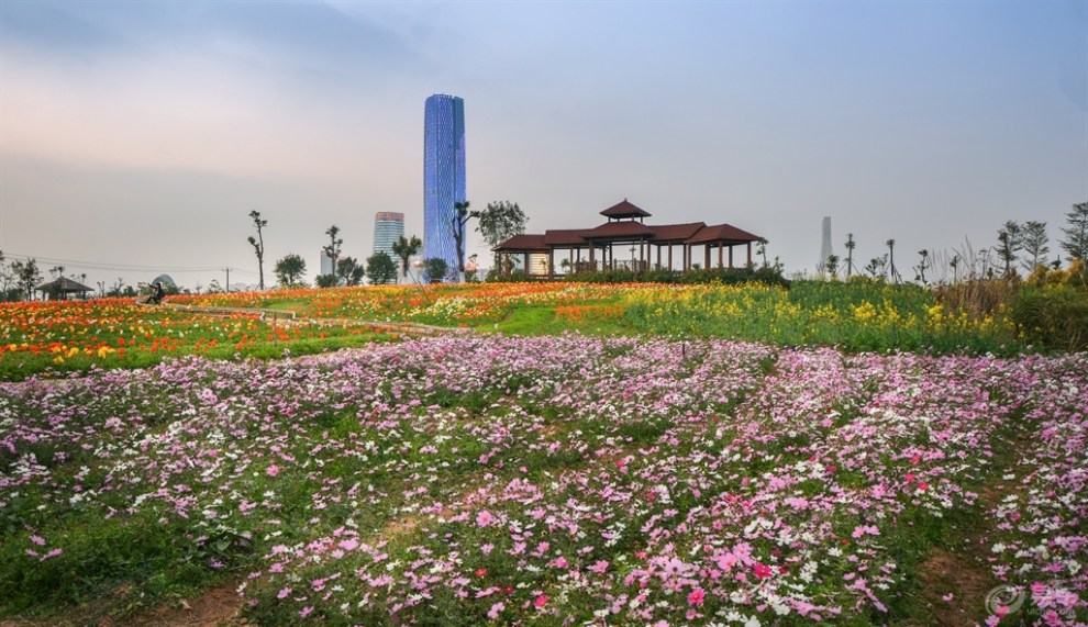 【春之寄语】初春厦门后田海滩园博园日出