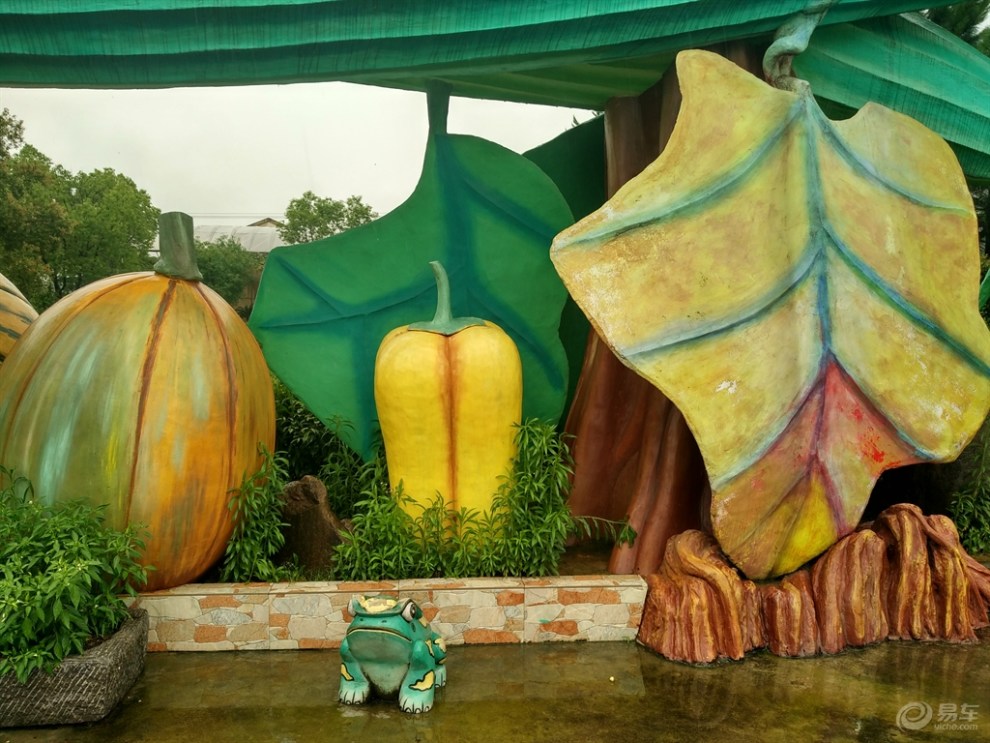 远离钢筋水泥,拥抱大自然,青蛙乐园自驾游