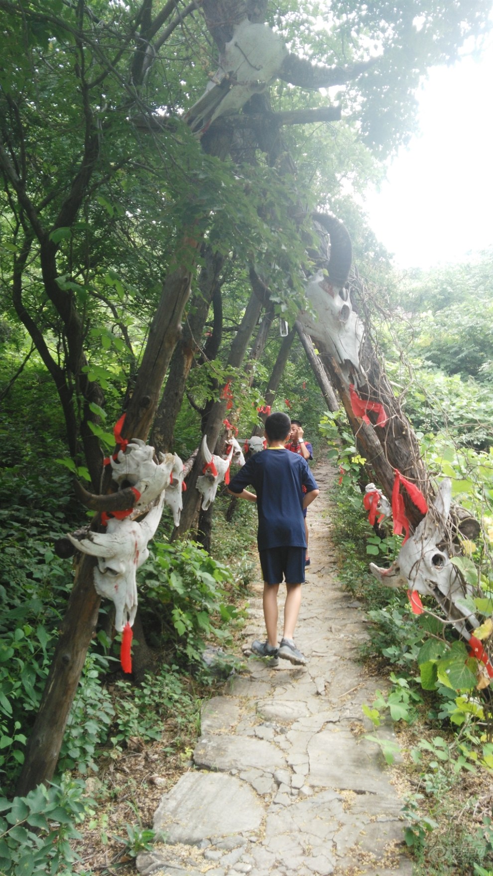 黑峪神秘谷之二