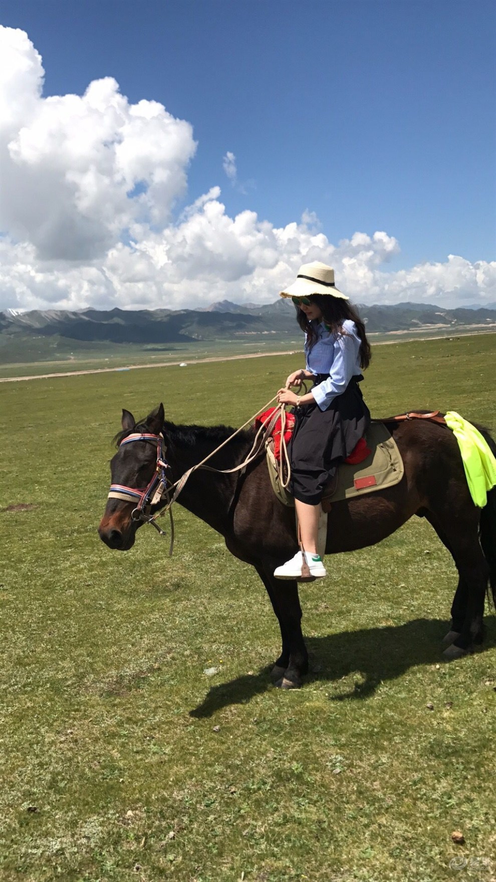 【一路向西-寻梦之旅】雪山,草原,盐雕,骑马,牧羊.