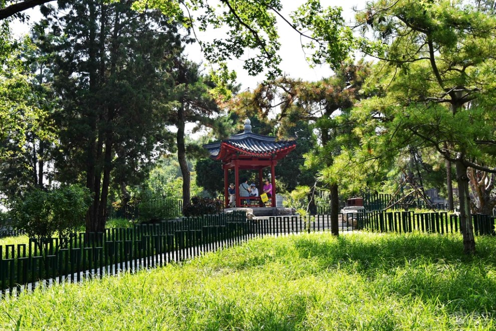 【遊記】炎炎夏日北京陶然亭公園納涼