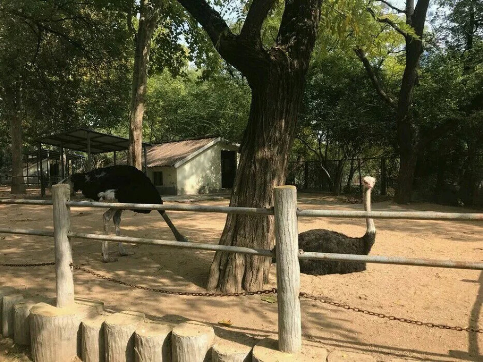 濟南動物園