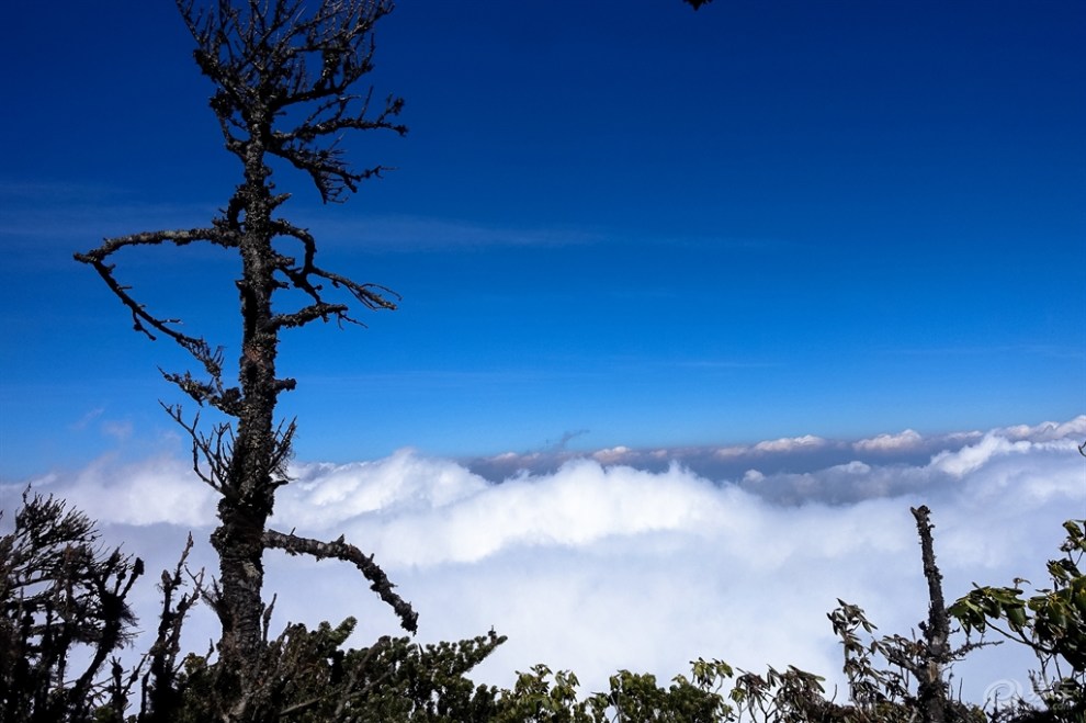 【大理五日游】之冲啊,苍山玉局峰