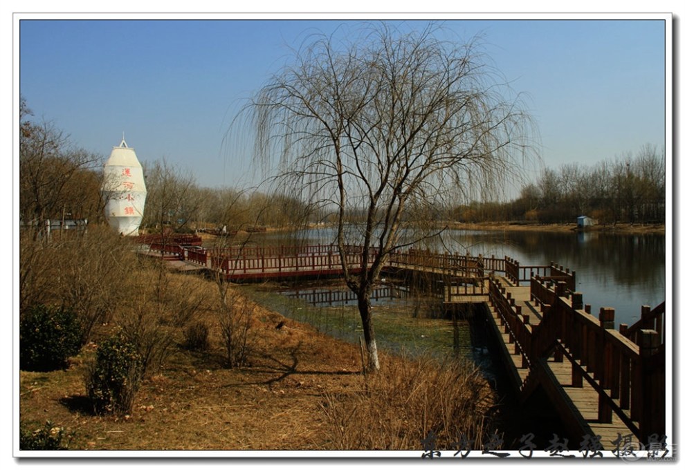 2018-3-16《早春-天津市武清郊野公园》