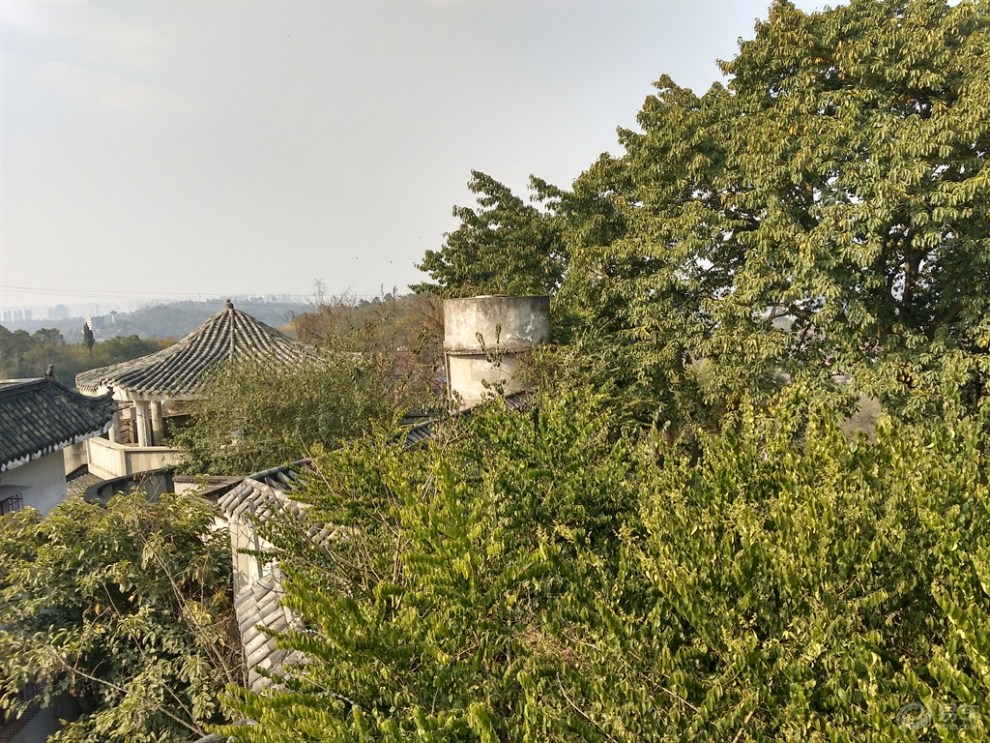 【四川cs35車友會】似水虎虎自駕獅子山,遊唐代高峰寺!