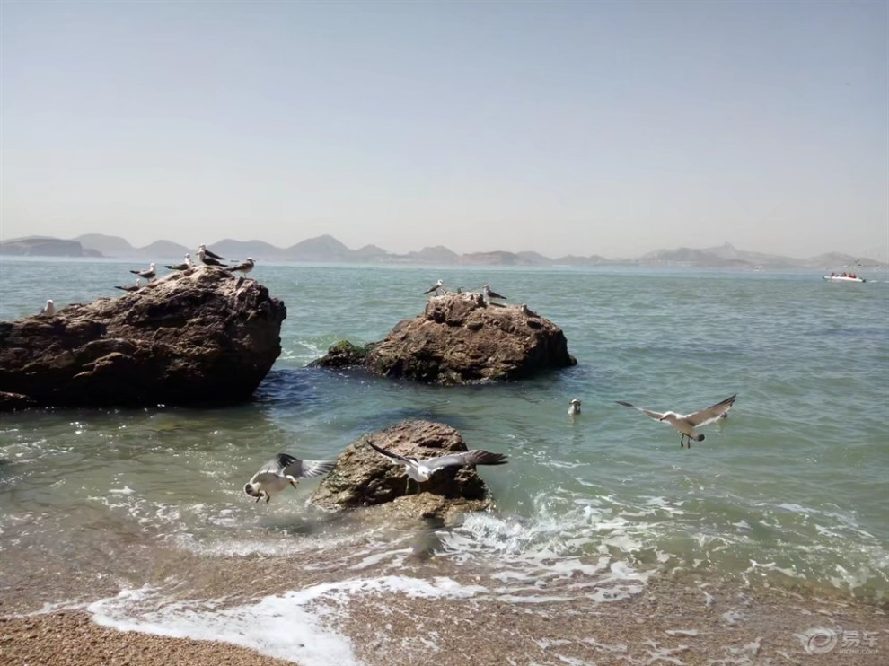 美麗威海之海驢島一日遊