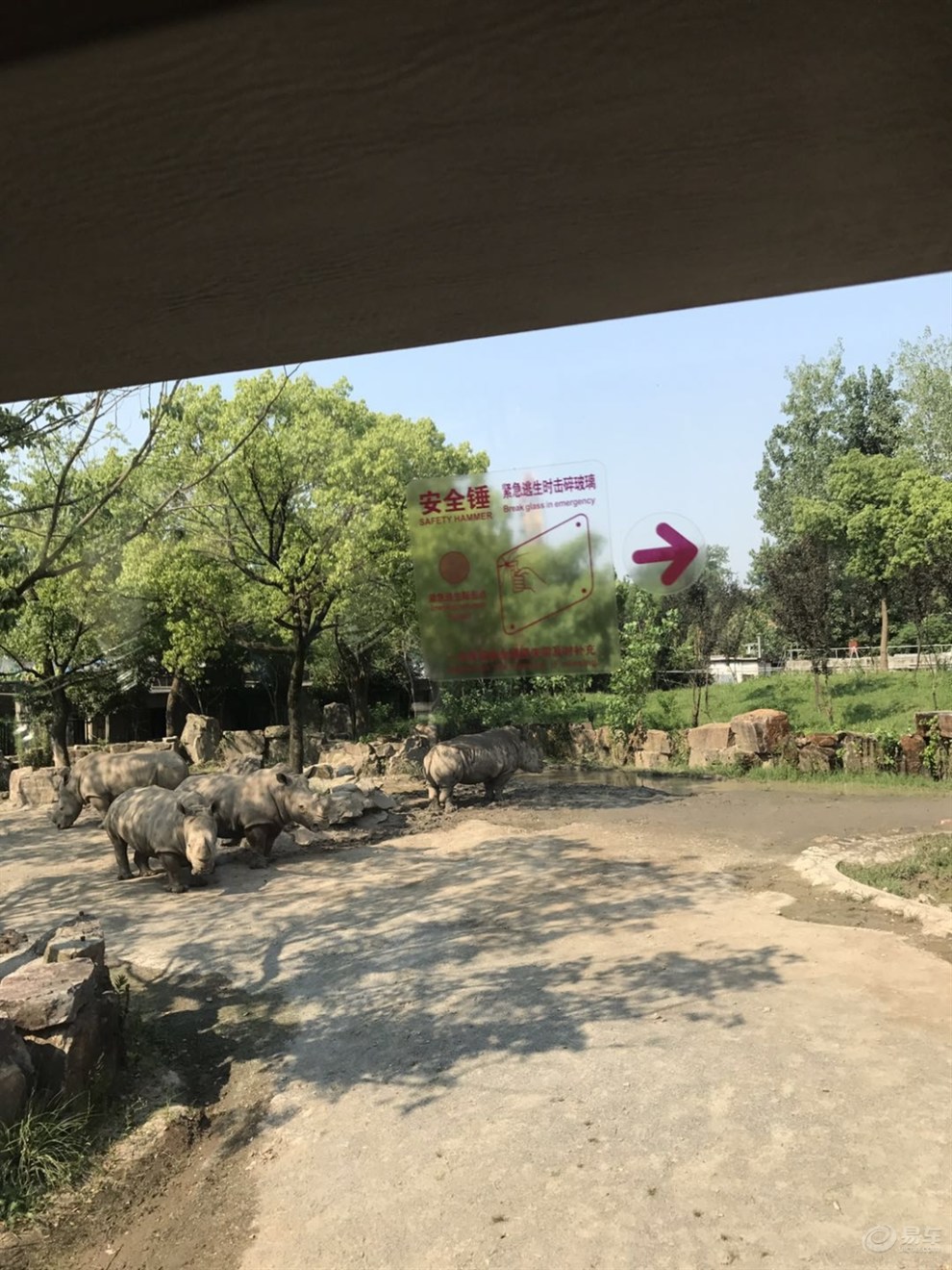 看猛獸的好地方之上海野生動物園