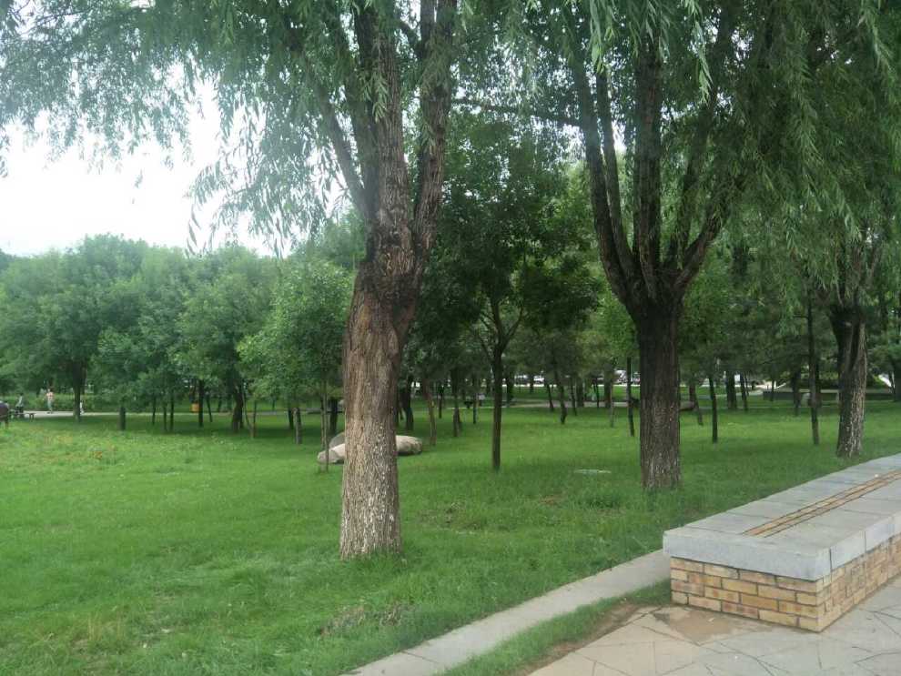 【陝北後生胡侃】雨後遊延安棗園公園