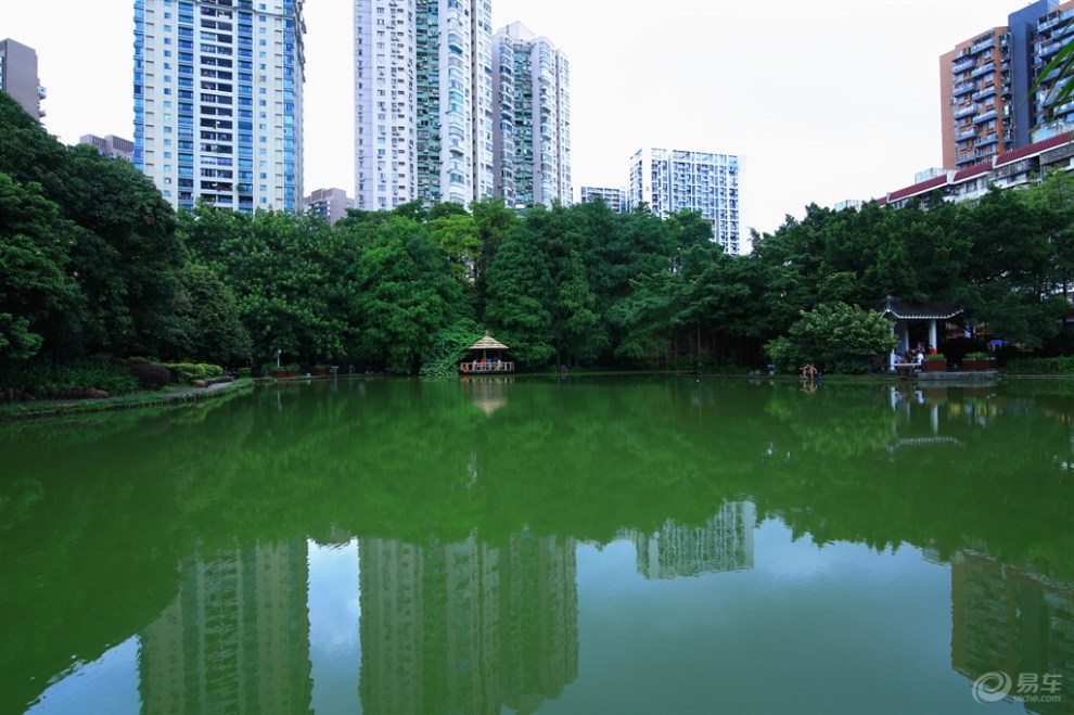 【深圳長安車友會】192網中魚-四海公園