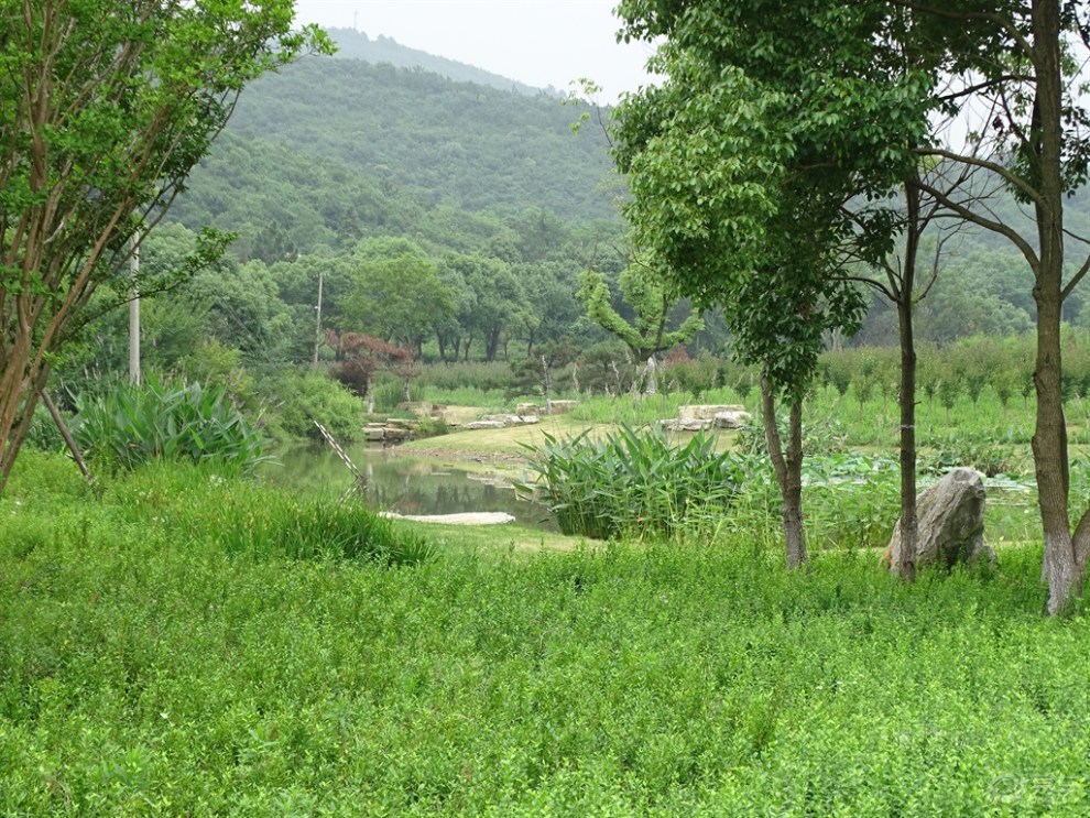 在路上#【无锡长安suv联盟】欣赏太湖湾海棠园的美