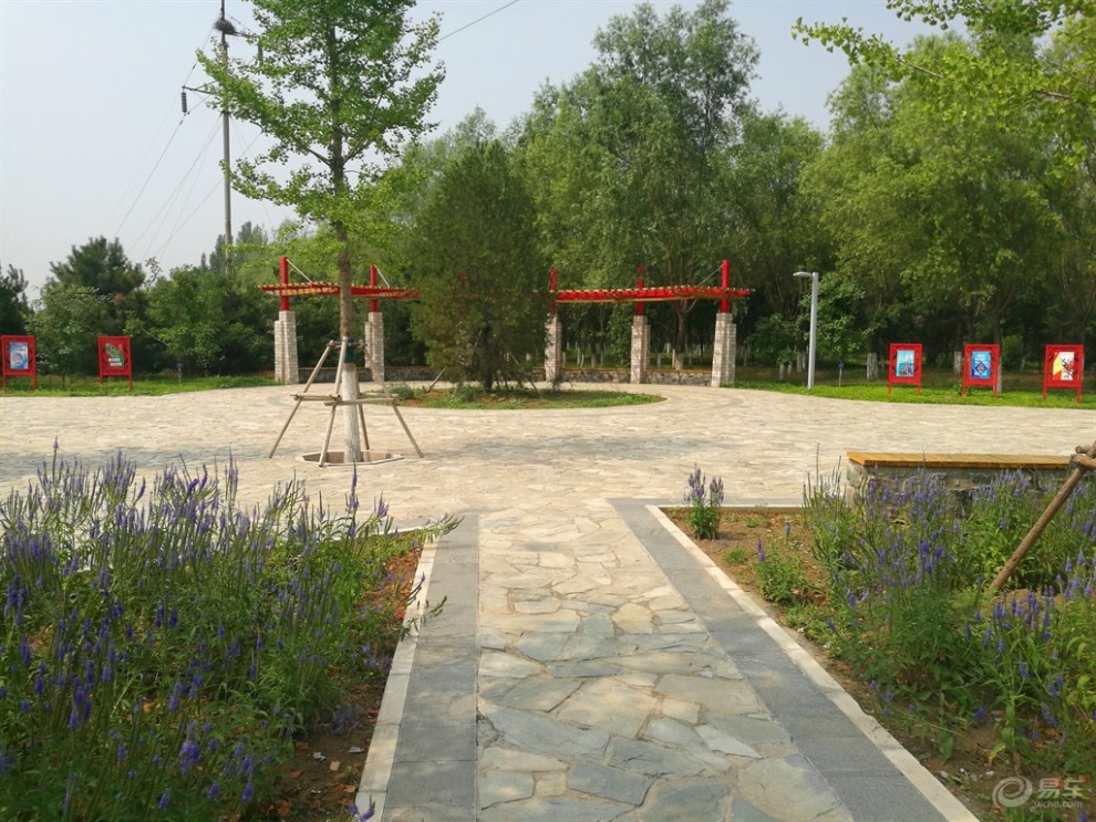 【北京劲悦团车友会】cs15自驾马坡千亩森林公园