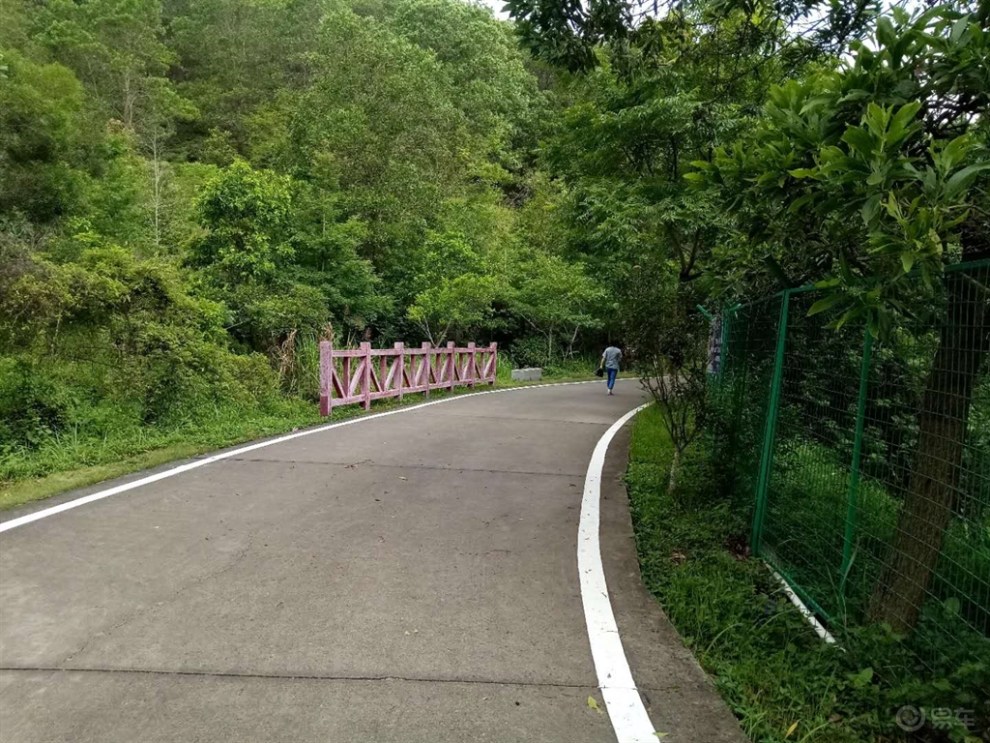 【深圳长安车友会】579马哥,行走铁岗水库绿道