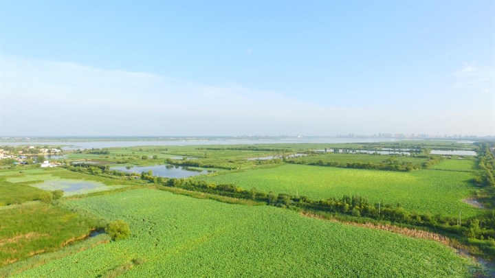 航拍衡水湖西岸