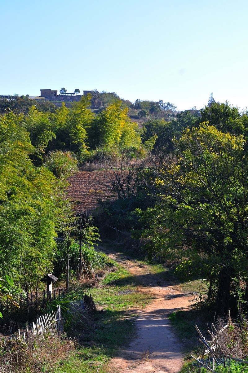 后山曲径也幽幽——初用1.4镜头,请指点!